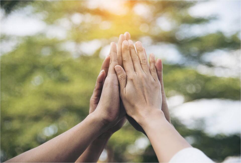 Mehrere Hände treffen sich zum High-Five vor grünem Hintergrund mit Sonnenlicht.