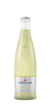 Bad Pyrmont Gourmet Fit Kick in einer Glasflasche