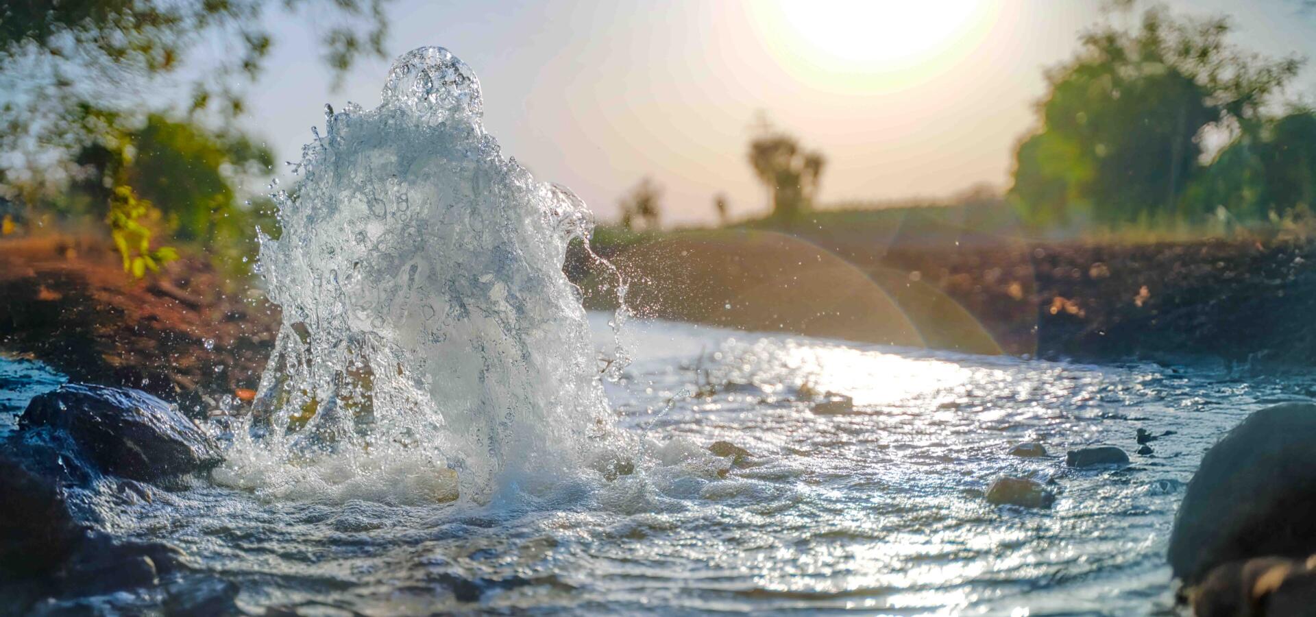 Sprudelnde Wasserquelle in der Natur bei Sonnenlicht.