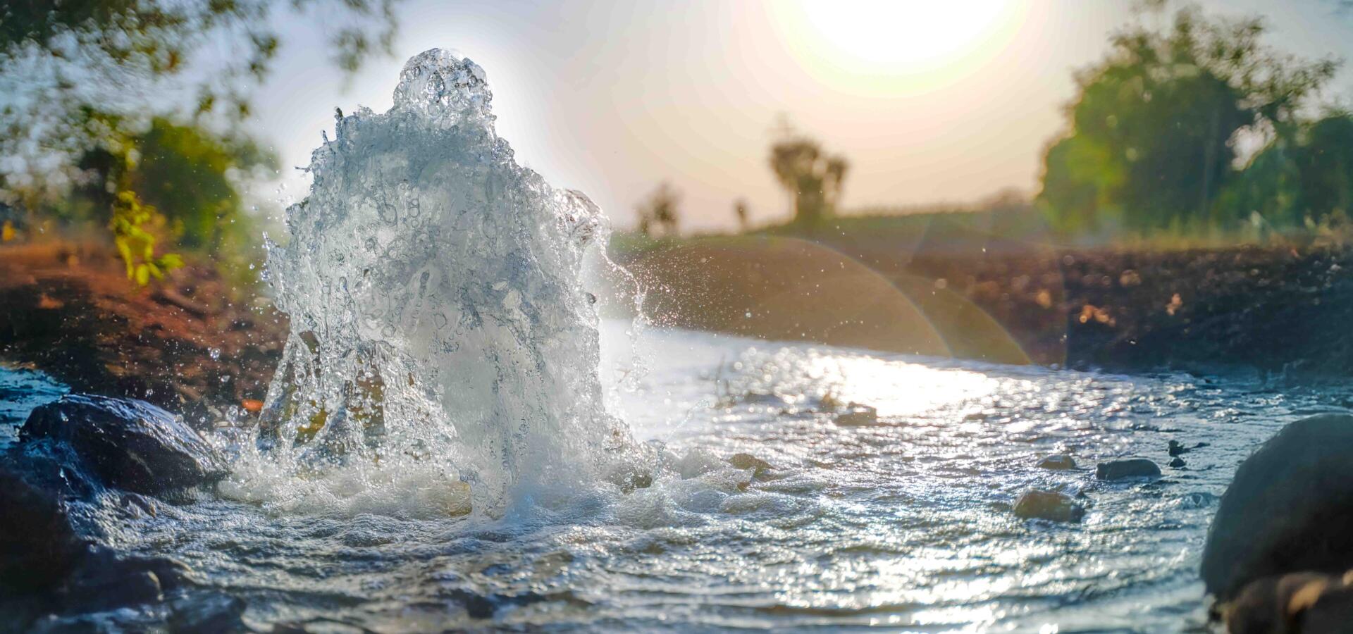 Sprudelnde Wasserquelle in der Natur bei Sonnenlicht.