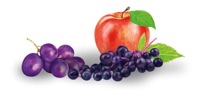 Apfel, Trauben und Holounder
