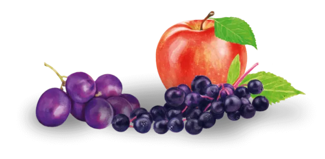 Apfel, Trauben und Holounder