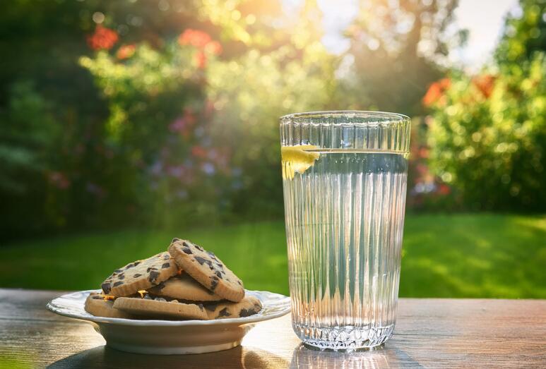 Ein Glas Wasser mit Zitrone steht neben einem Teller mit Schokoladenkeksen im sonnigen Garten.