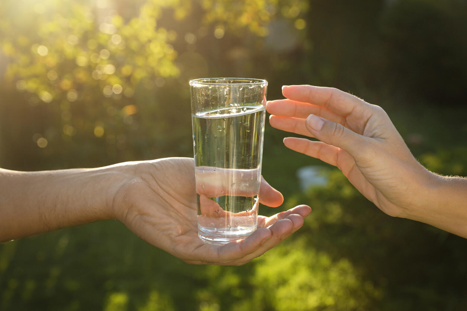 Eine Hand reicht einer anderen ein Glas klares Wasser bei Sonnenlicht im Garten – Symbol für Teilen, Schutz und Nachhaltigkeit.