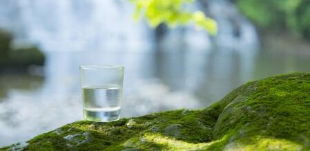 Ein Glas frisches, kühles Quellwasser steht auf einem mit Moos bewachsenen Felsen vor einem See.