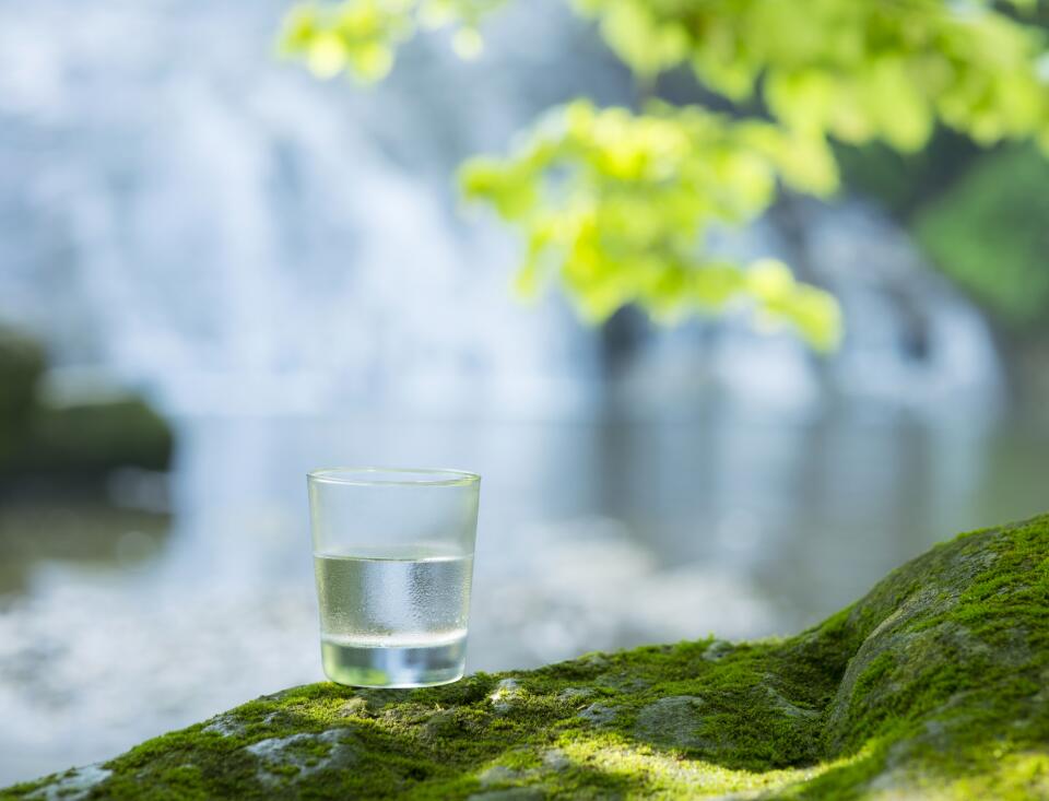 Ein Glas frisches, kühles Quellwasser steht auf einem mit Moos bewachsenen Felsen vor einem See.