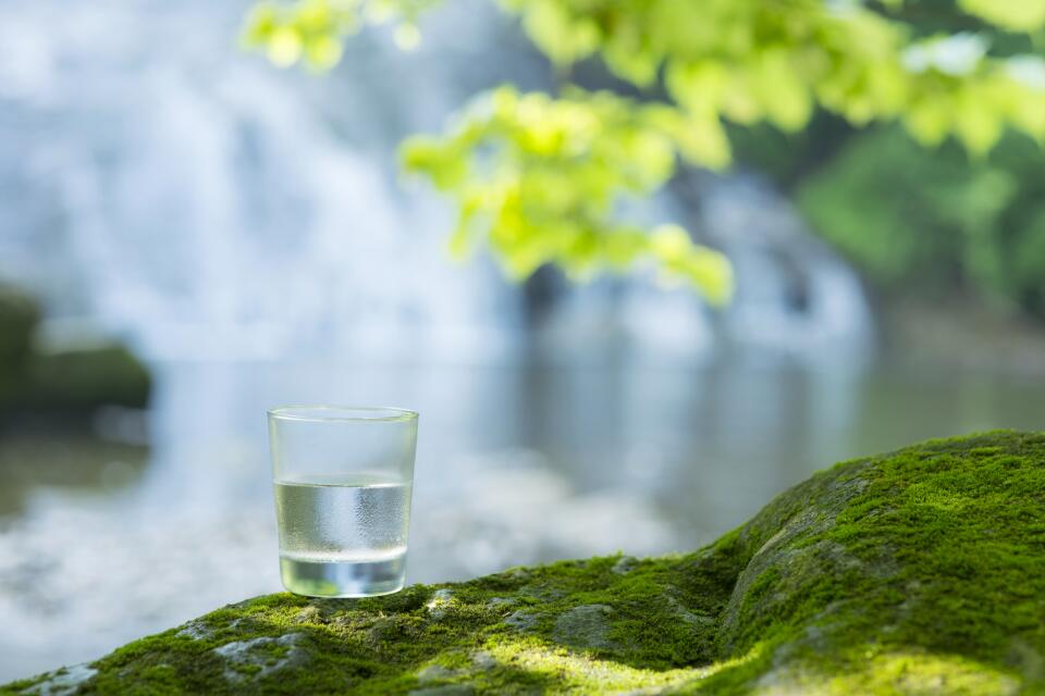 Ein Glas frisches, kühles Quellwasser steht auf einem mit Moos bewachsenen Felsen vor einem See.