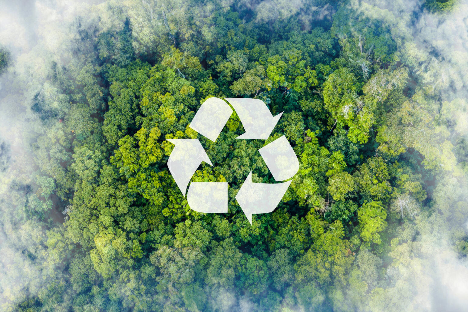 Recycling-Symbol im unberührten Wald als Zeichen für eine nachhaltige Umwelt.