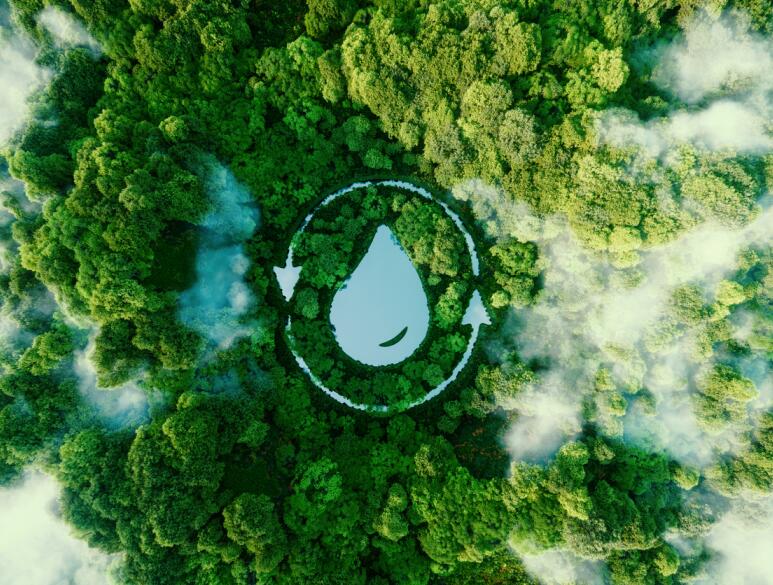 Luftaufnahme eines dichten, grünen Waldes, in dessen Mitte ein Wassertropfen-Symbol mit kreisförmigem Pfeil als Zeichen für Nachhaltigkeit und natürlichen Wasserkreislauf eingebettet ist.
