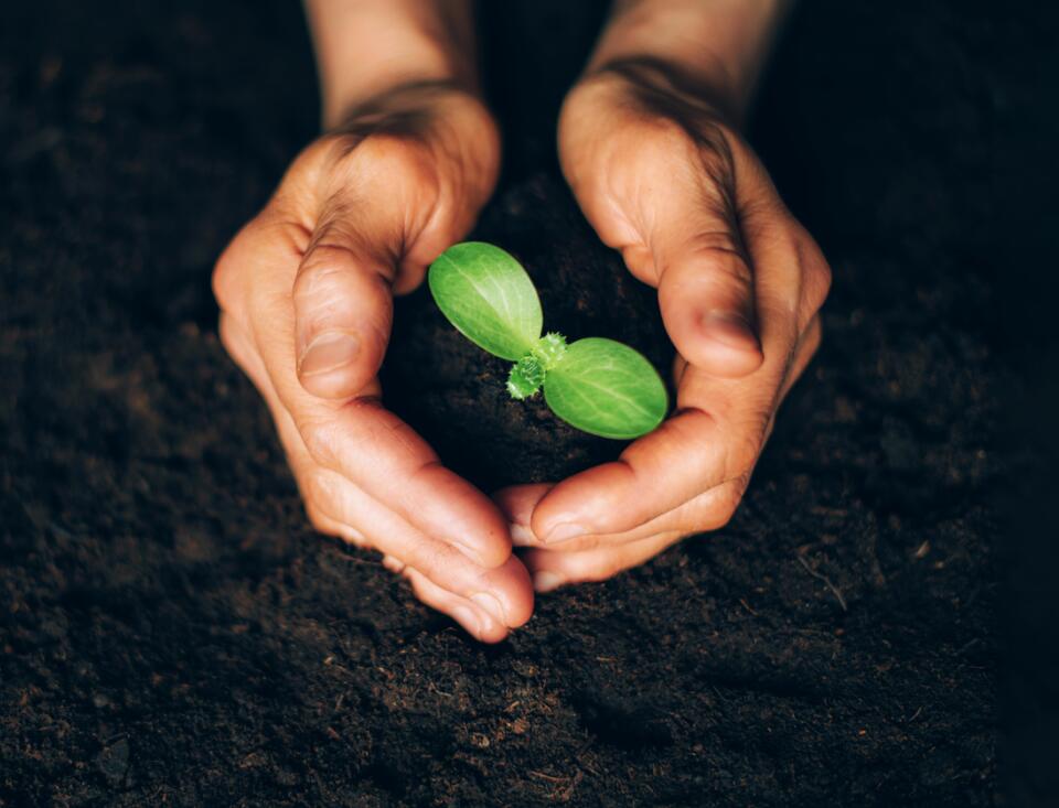 Zwei Hände halten behutsam einen kleinen grünen Keimling in dunkler Erde – Symbol für Wachstum, Schutz und nachhaltige Zukunft.