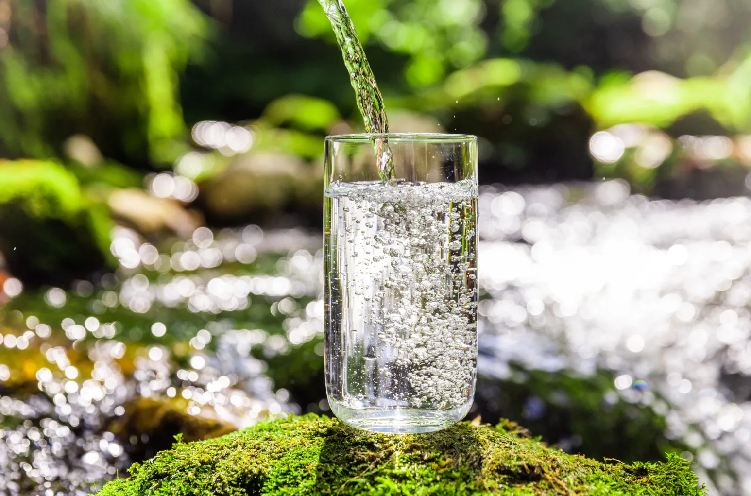 Ein Glas sprudelndes Wasser wird in einer grünen Bachlandschaft befüllt; im Hintergrund glitzert unscharf fließendes Wasser.