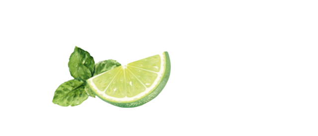 Eine gezeichnete Hälfte einer Limette