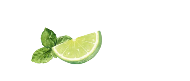 Eine gezeichnete Hälfte einer Limette