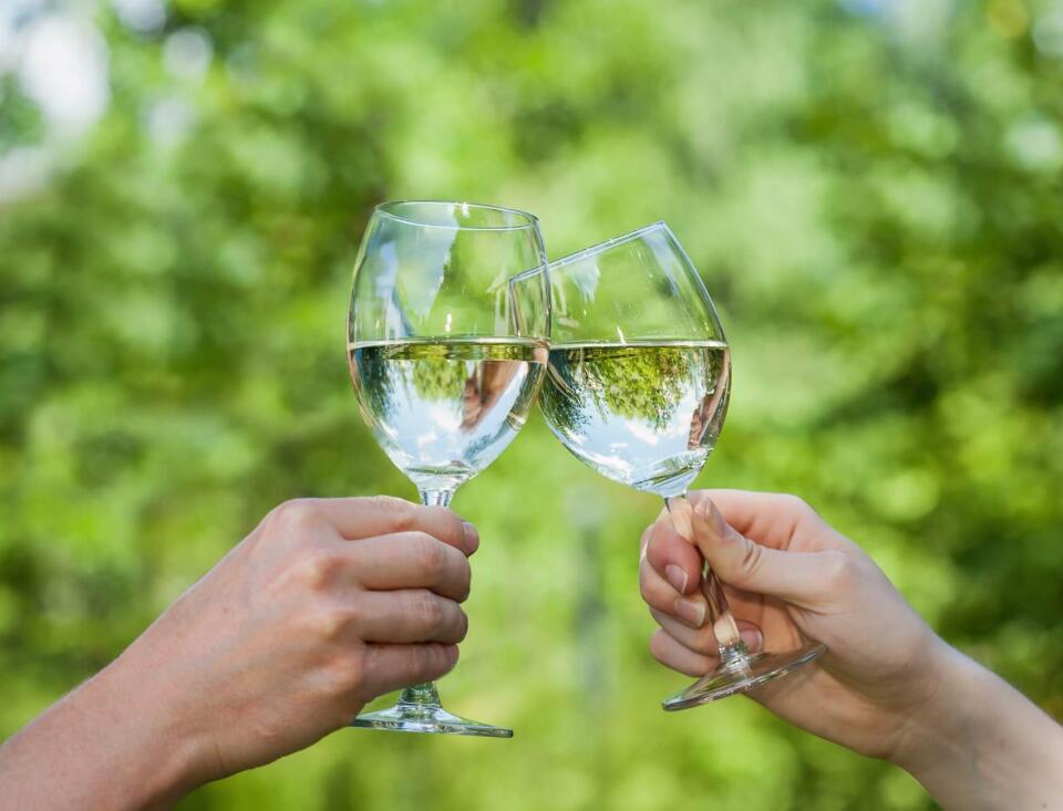 Zwei Hände, die Weingläser mit Wasser halten und damit anstoßen. Im Hintergrund sind Bäume zu sehen